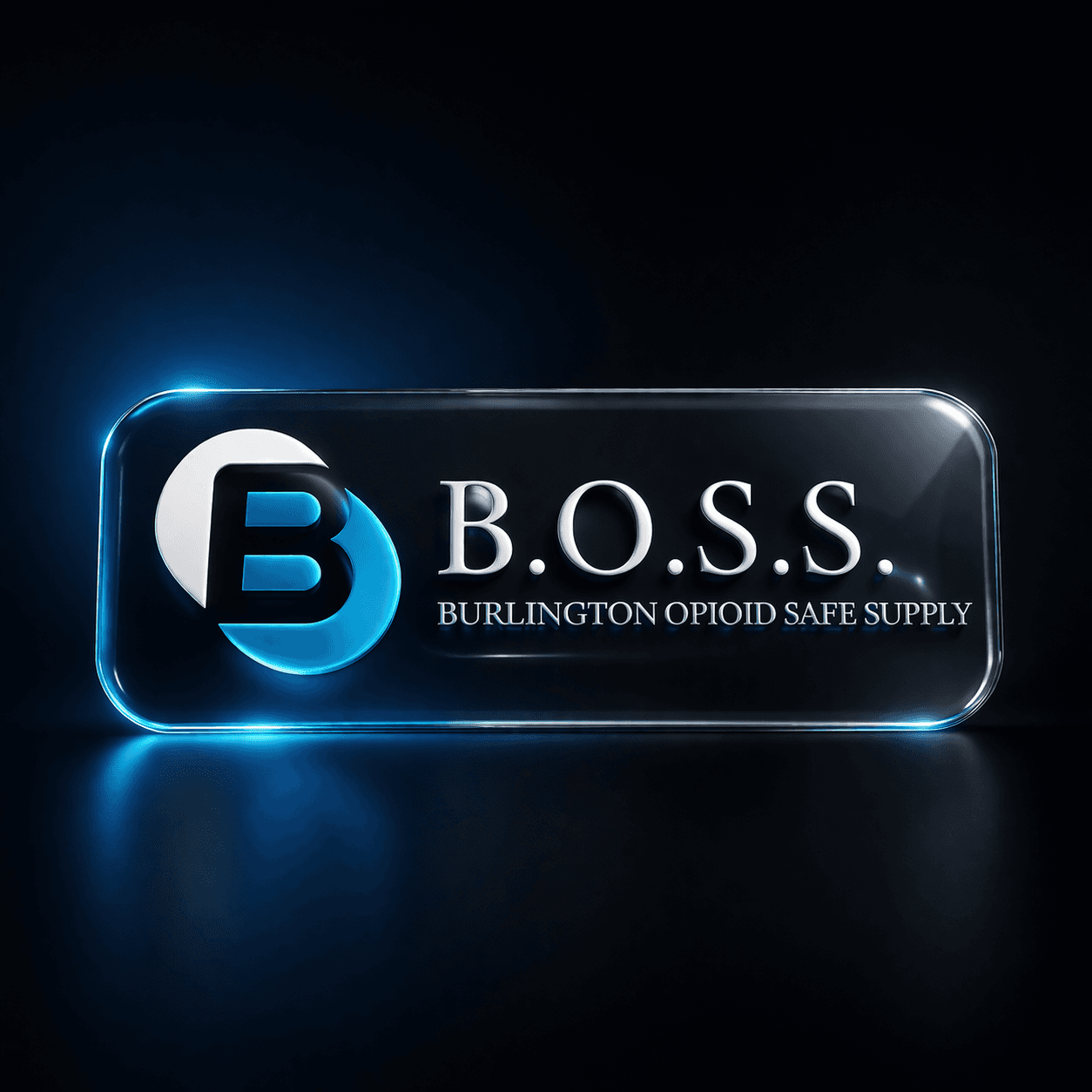 B.O.S.S. Medical Clinic project by Graphxify, gallery image 2